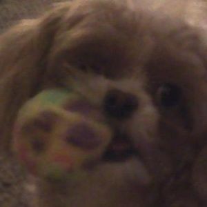 Meet your Posher, Jackie